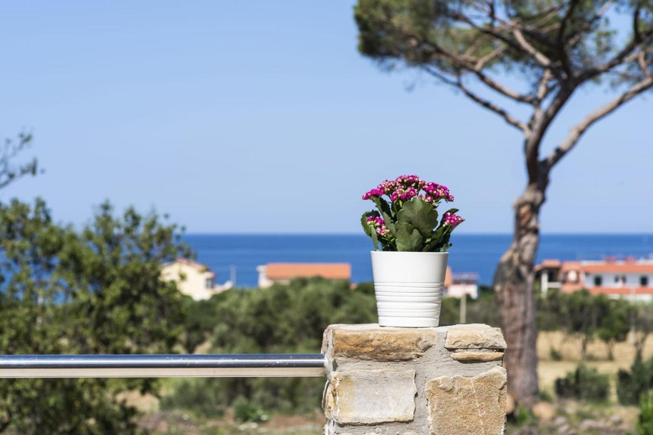 B&B Il Sogno Santa Maria di Castellabate Εξωτερικό φωτογραφία