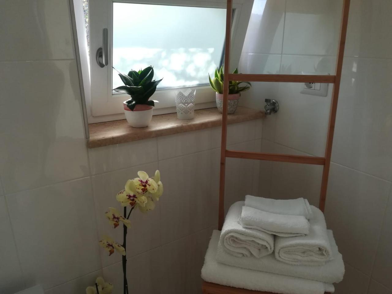 B&B Il Sogno Santa Maria di Castellabate Εξωτερικό φωτογραφία