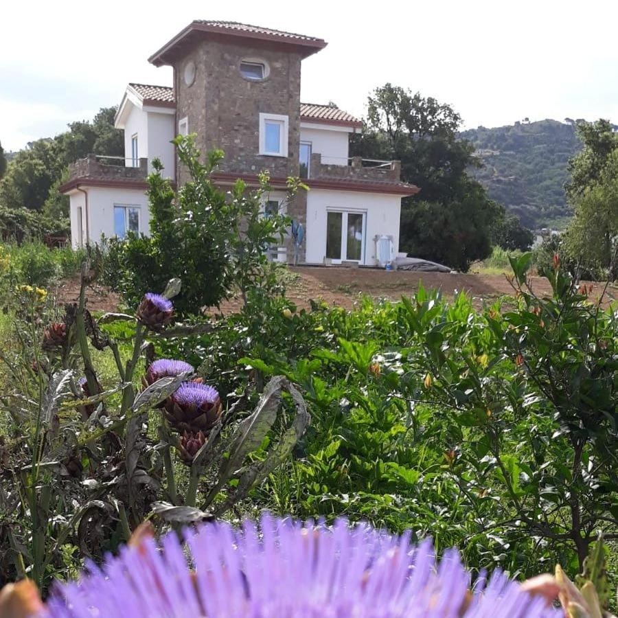 B&B Il Sogno Santa Maria di Castellabate Εξωτερικό φωτογραφία