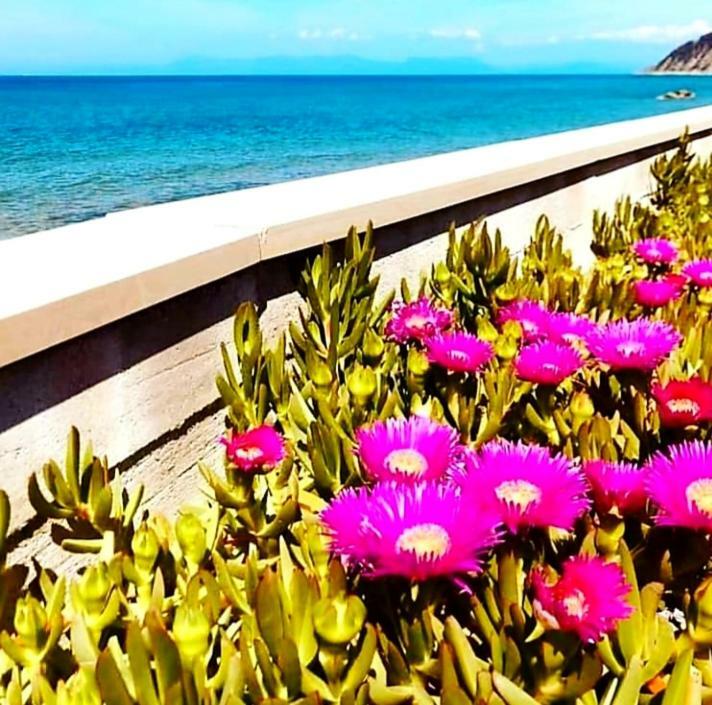 B&B Il Sogno Santa Maria di Castellabate Εξωτερικό φωτογραφία