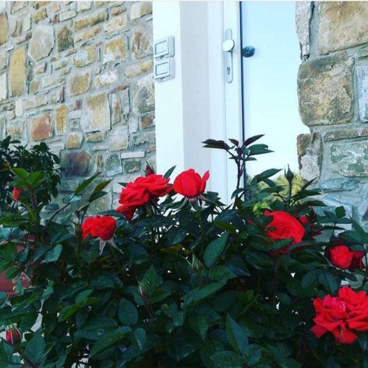 B&B Il Sogno Santa Maria di Castellabate Εξωτερικό φωτογραφία